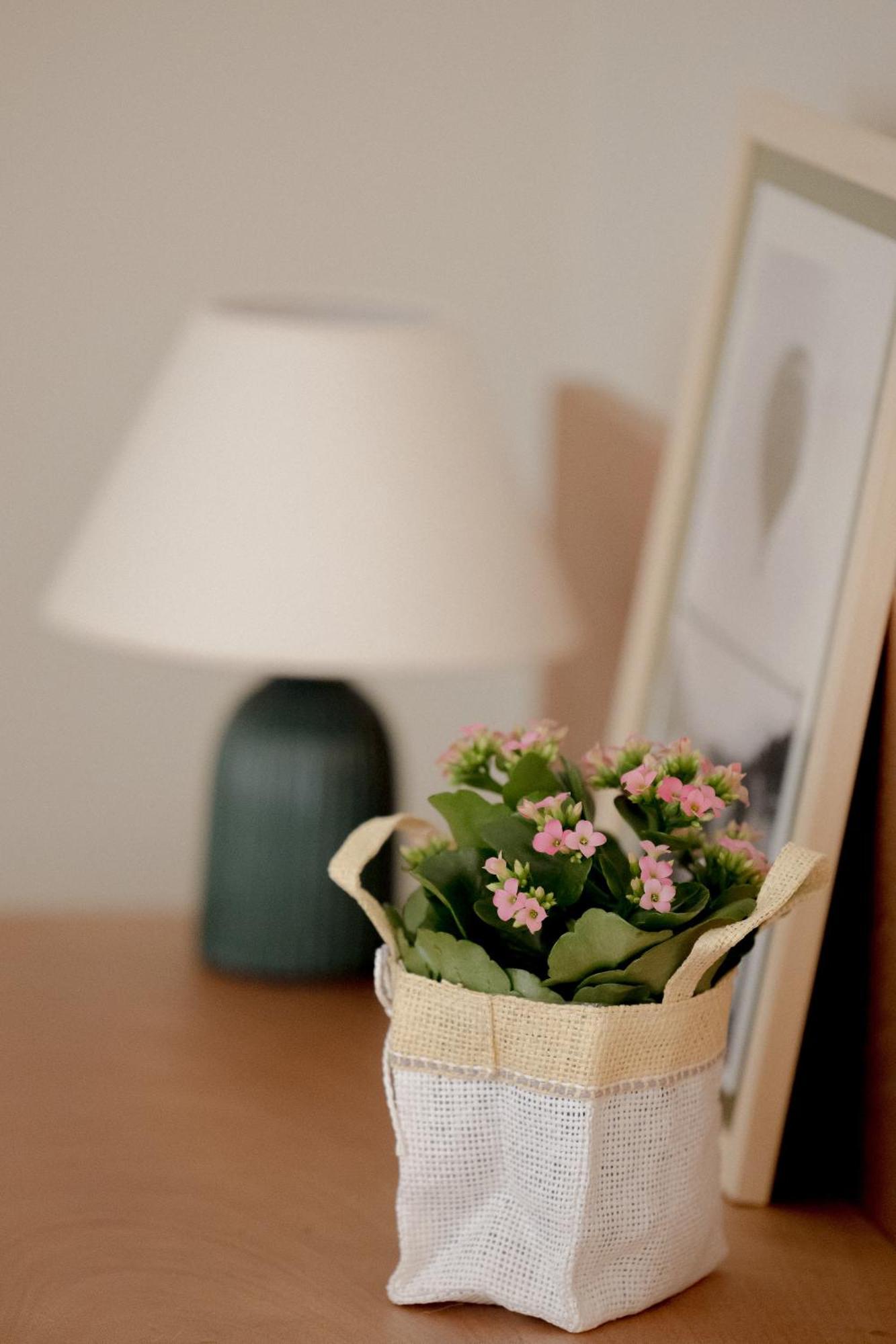 Alfred Hotels Monaco - Ex Forum - Hotel Renove Beausoleil Ngoại thất bức ảnh